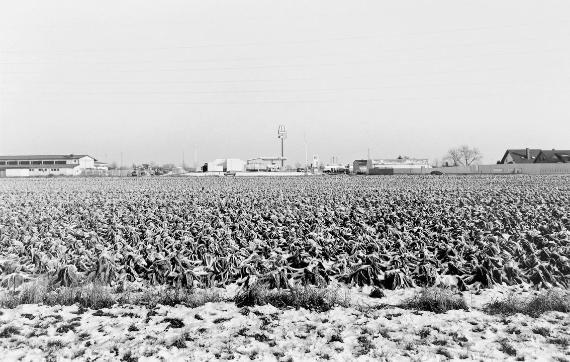 Agrarland Vorderpfalz 117