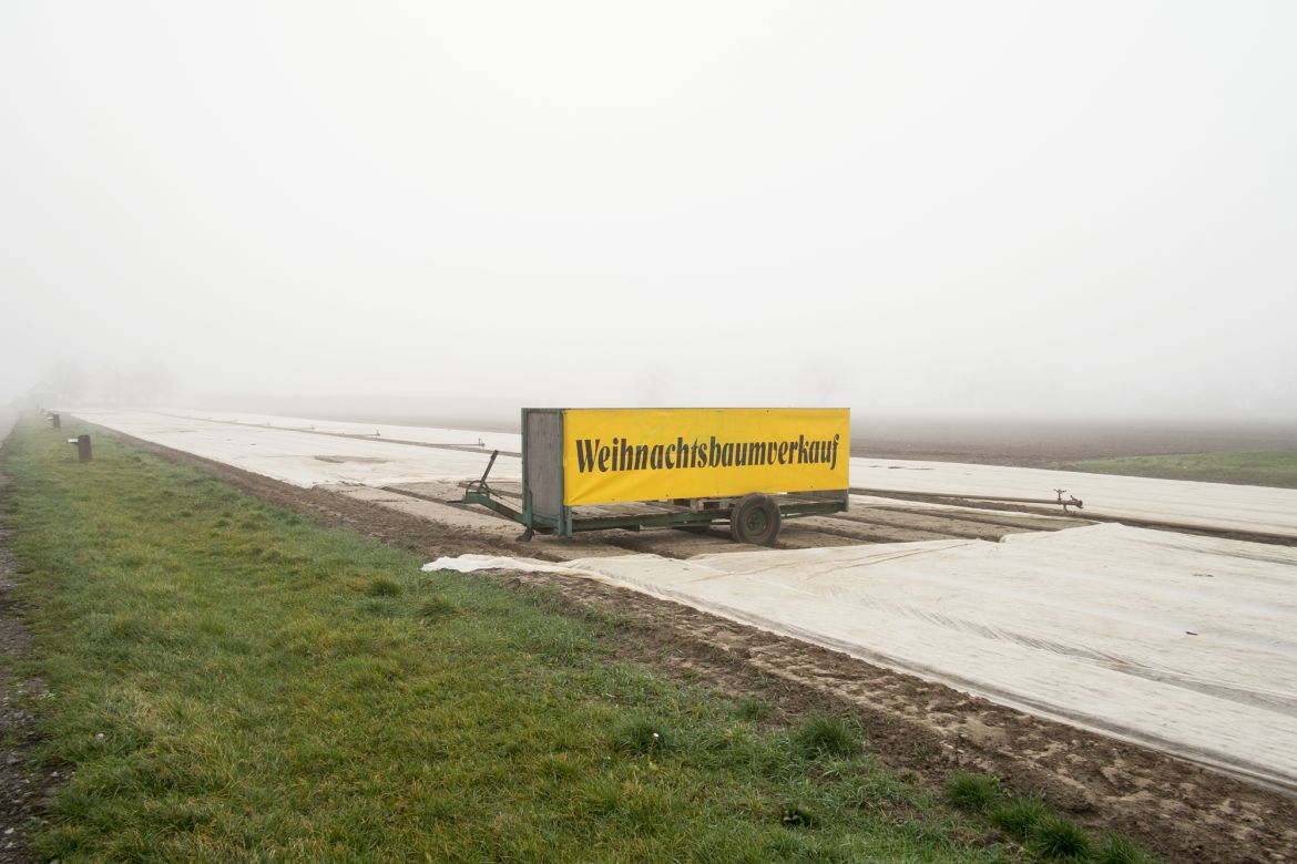 001 Am südlichen Ortsrand von Geinsheim
