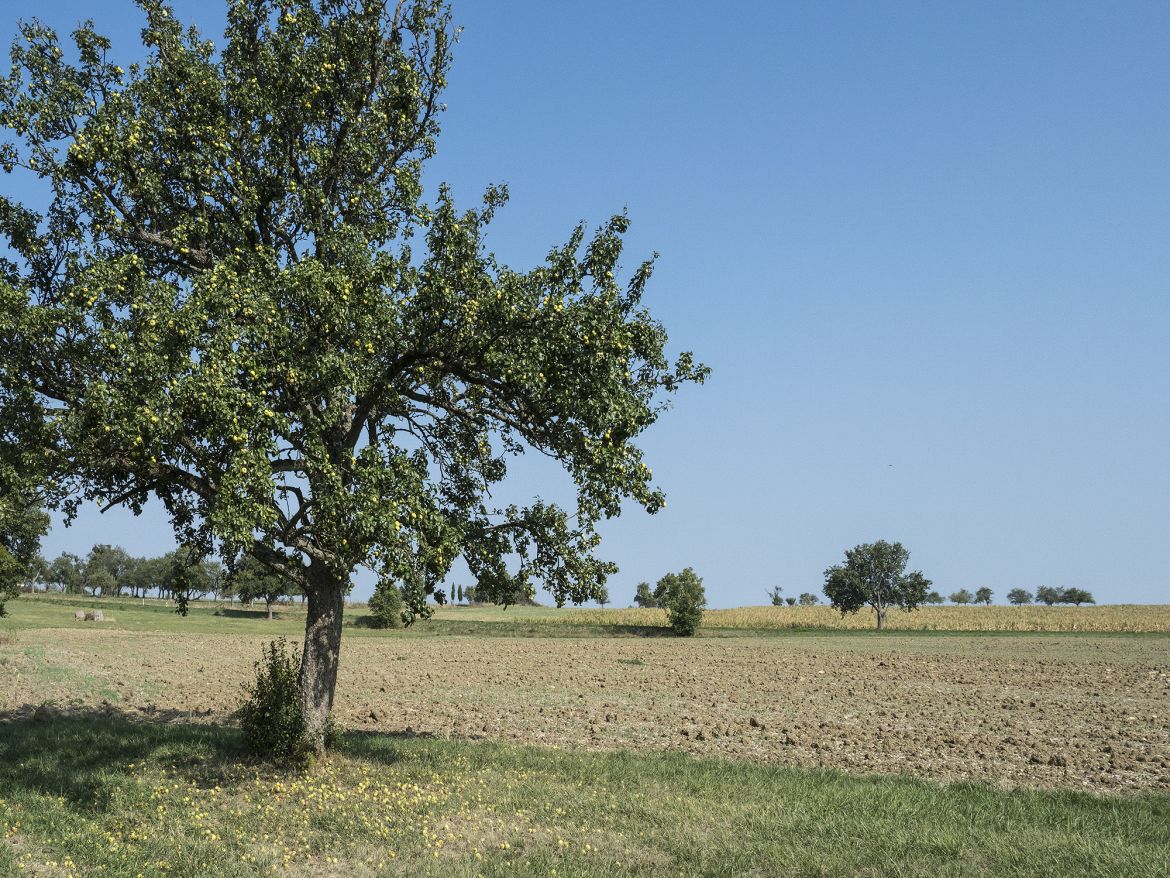 Bild 19