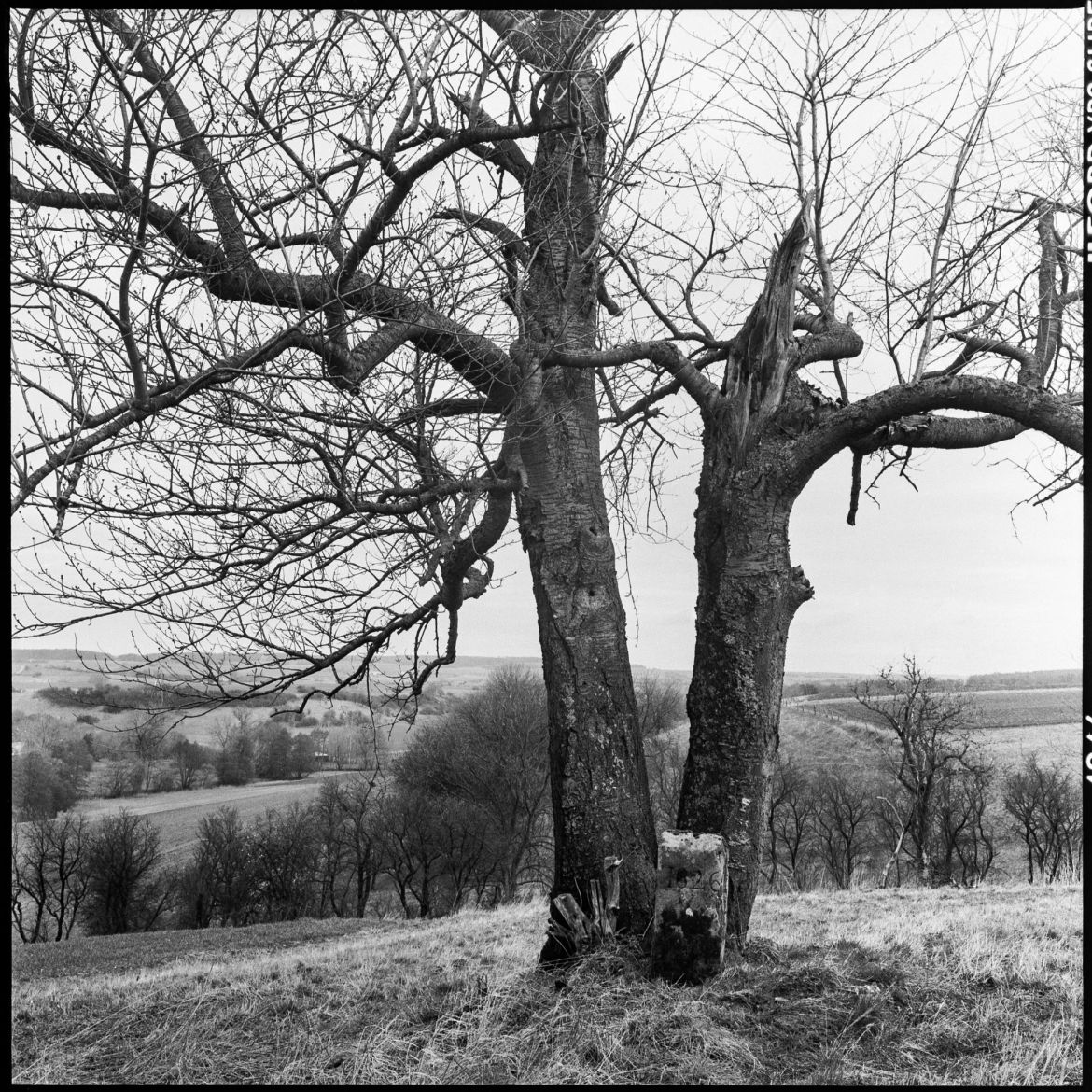 06 Grenzgänge-018