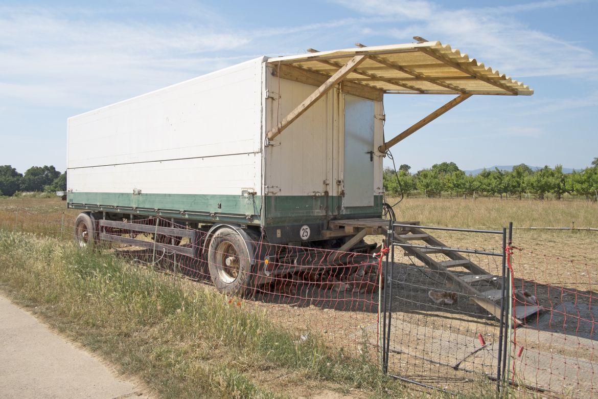 101 Mobiler Huehnerstall nahe dem oestlichen Ortsrand von Meckenheim