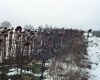 oesling re0014