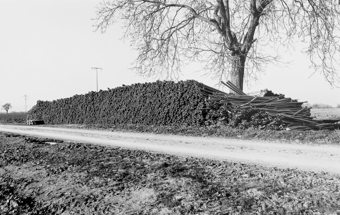 Agrarland Vorderpfalz 10