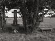 Bild 034