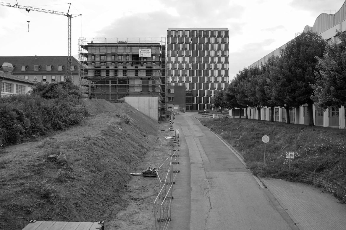 lichtung-14